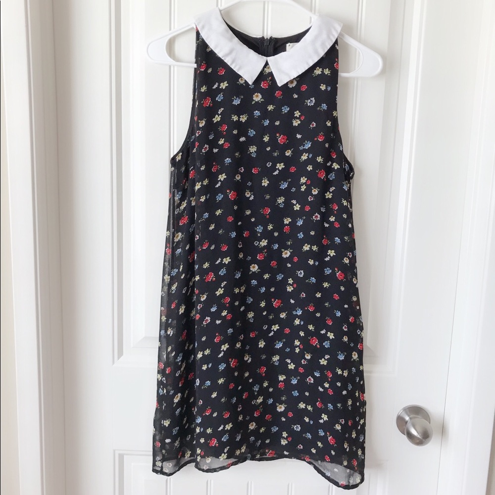 Coincidence&Chance Collared Chiffon Shift Dress